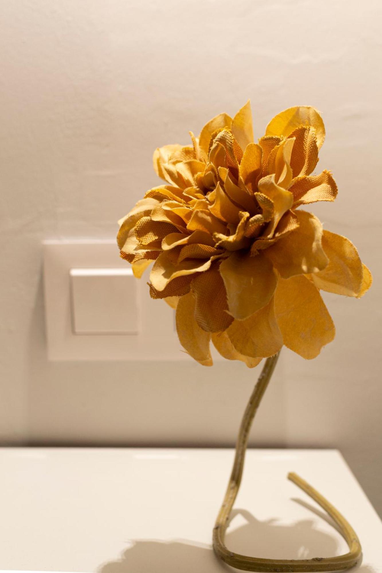 Vivienda Turistica Casa Quevedo Appartement Úbeda Buitenkant foto